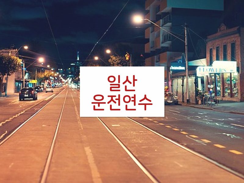 일산운전연수 후기