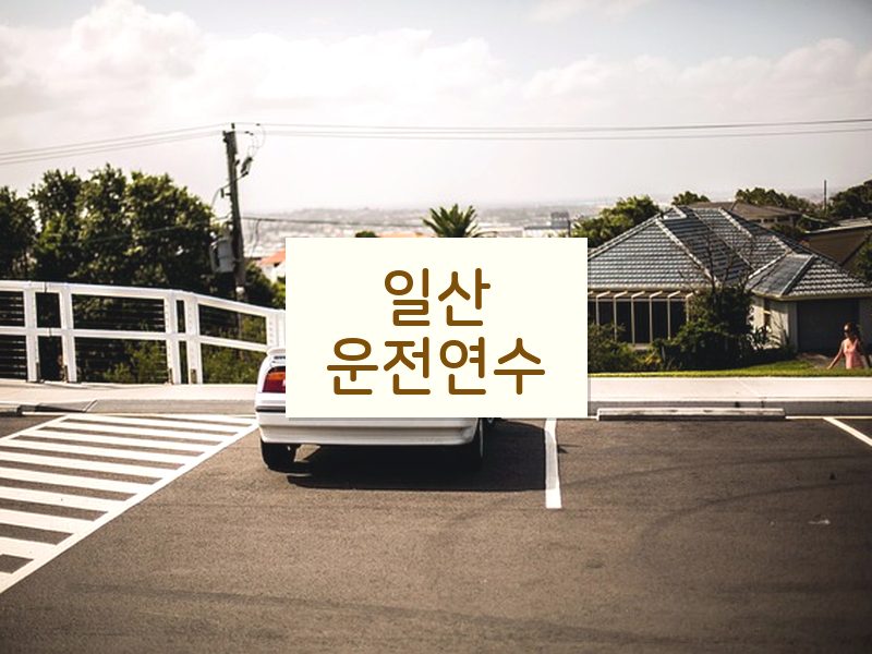 일산운전연수 후기