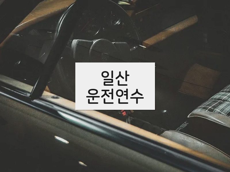 일산운전연수 후기