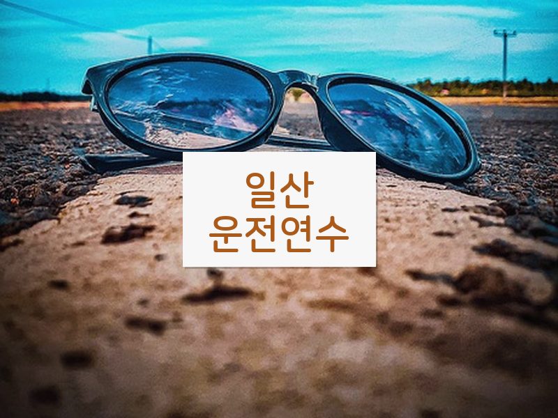 일산운전연수 후기
