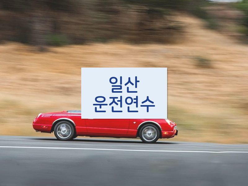 일산운전연수 후기