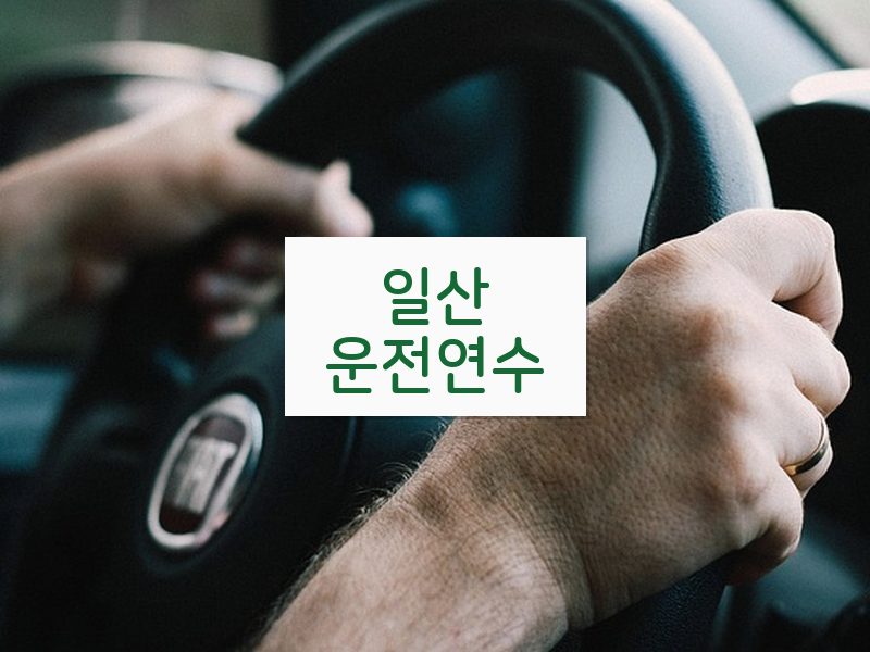 일산운전연수 후기