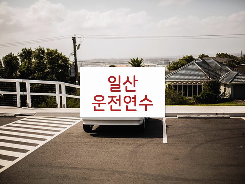 일산운전연수 후기