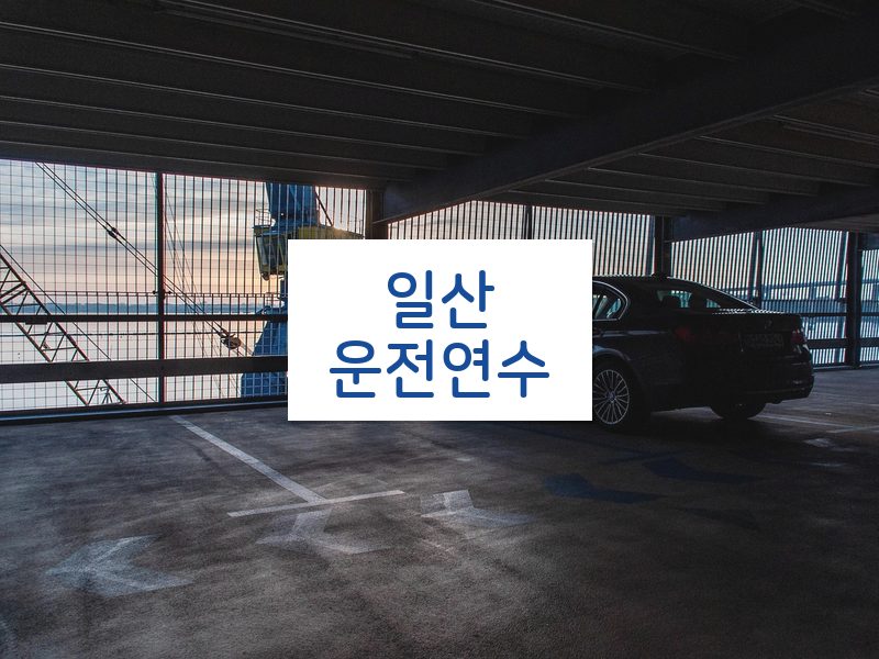 일산운전연수 후기
