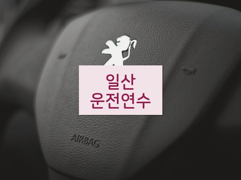 일산운전연수 후기