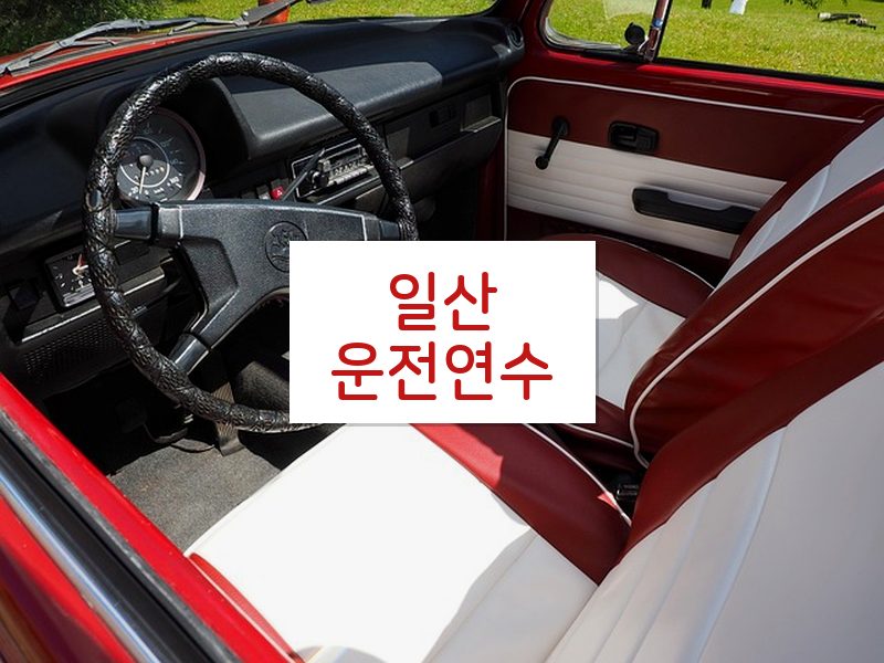 일산운전연수 후기