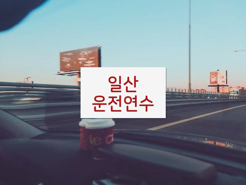 일산운전연수 후기
