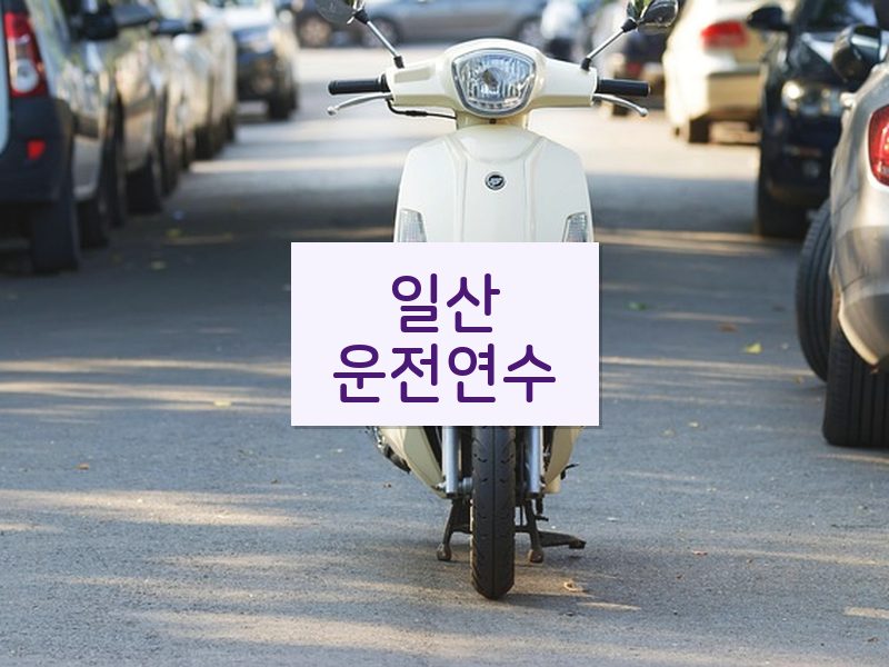 일산운전연수 후기