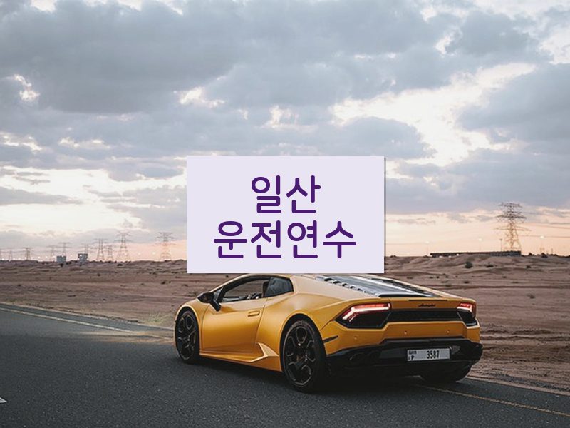 일산운전연수 후기