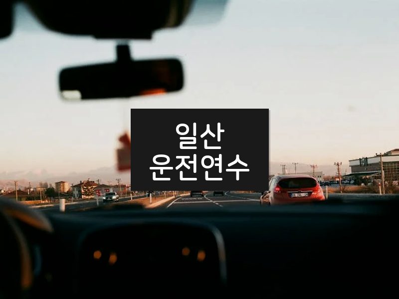 일산운전연수 후기