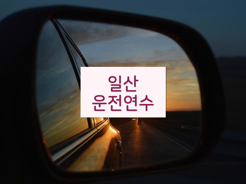 일산운전연수 후기