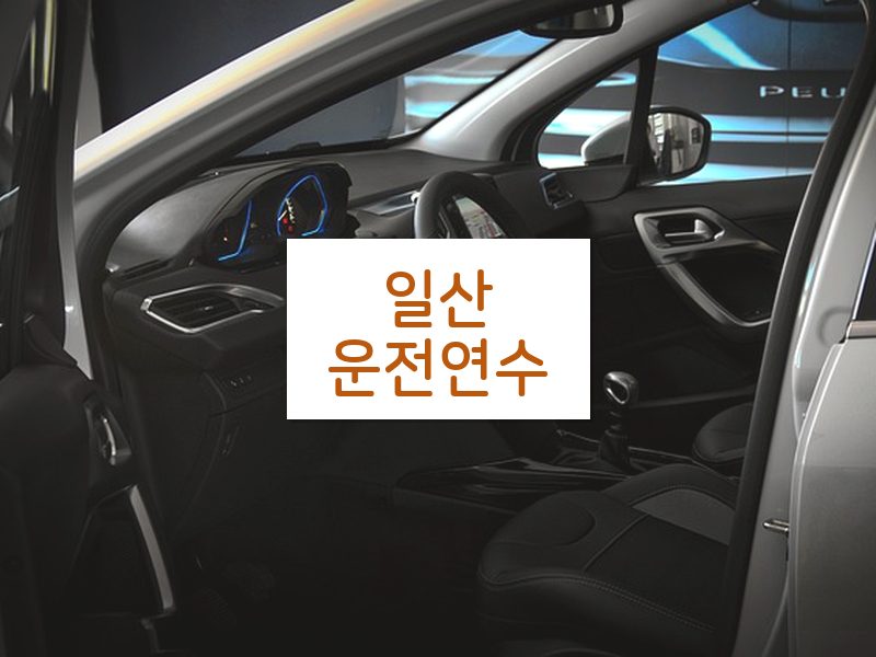 일산운전연수 후기