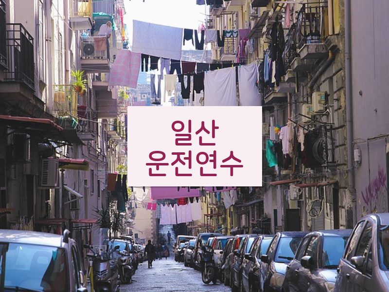 일산운전연수 후기