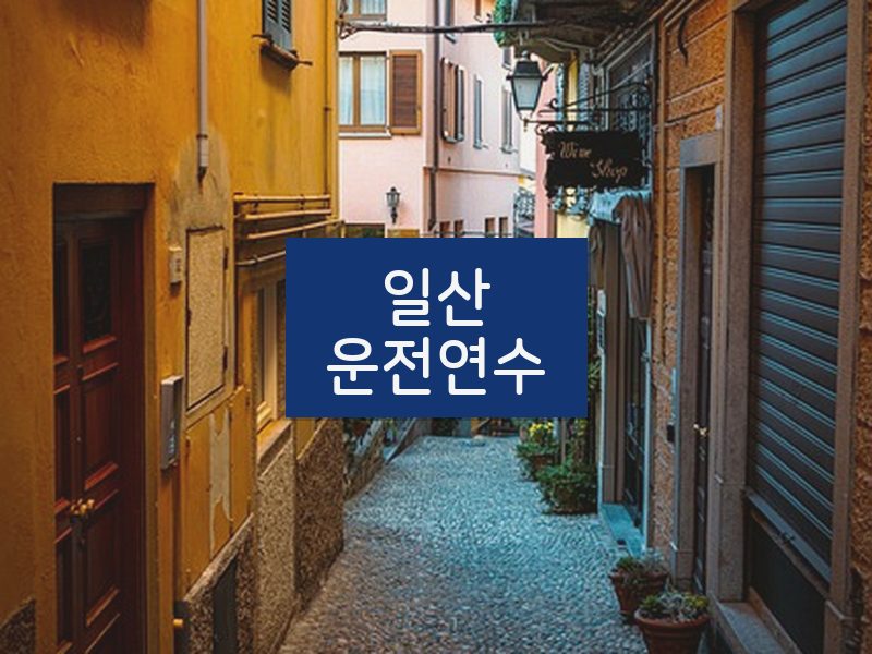 일산운전연수 후기