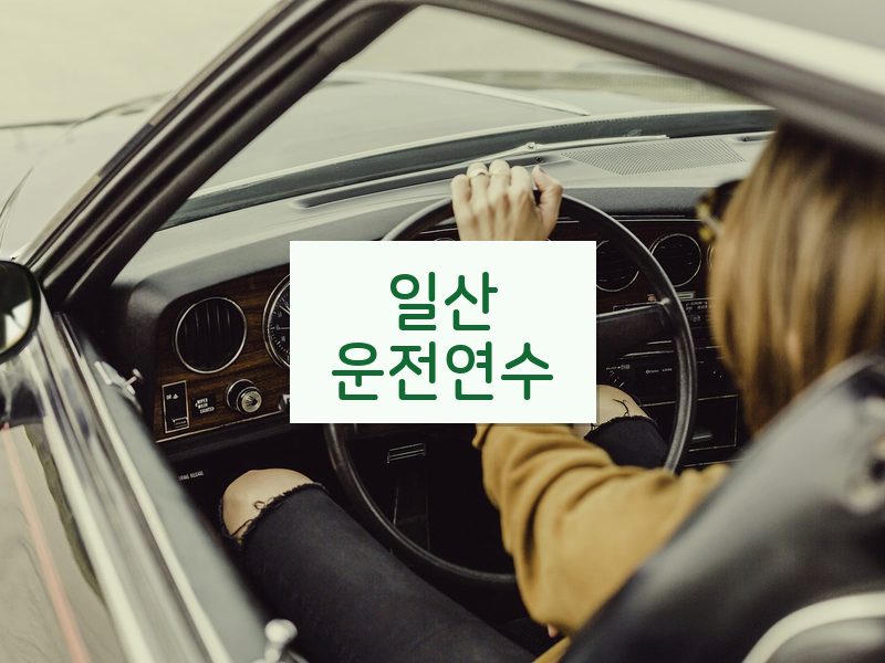 일산운전연수 후기
