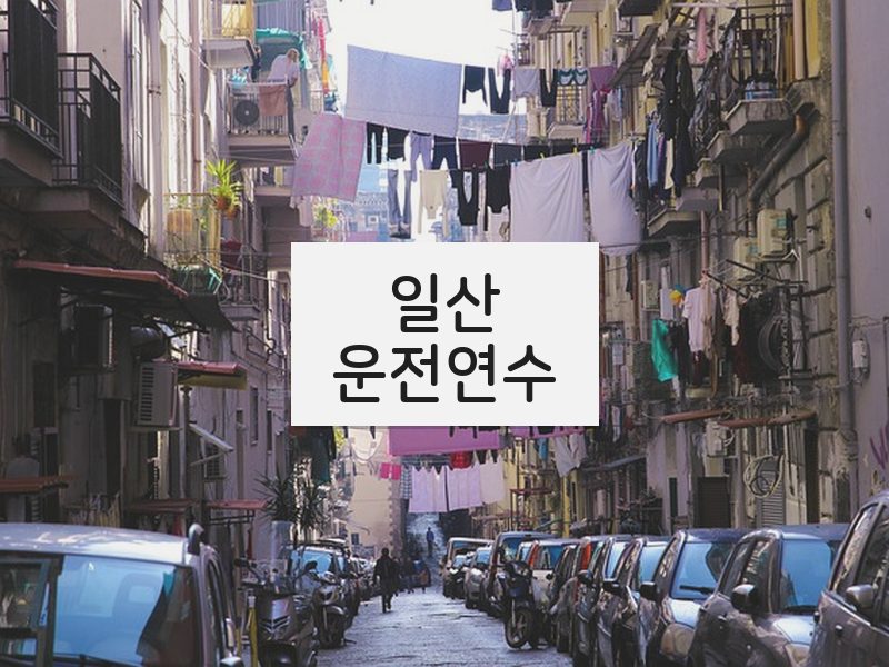 일산운전연수 후기