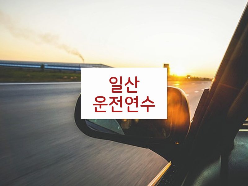 일산운전연수 후기