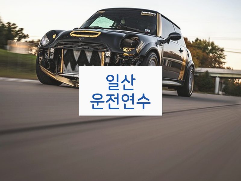 일산운전연수 후기