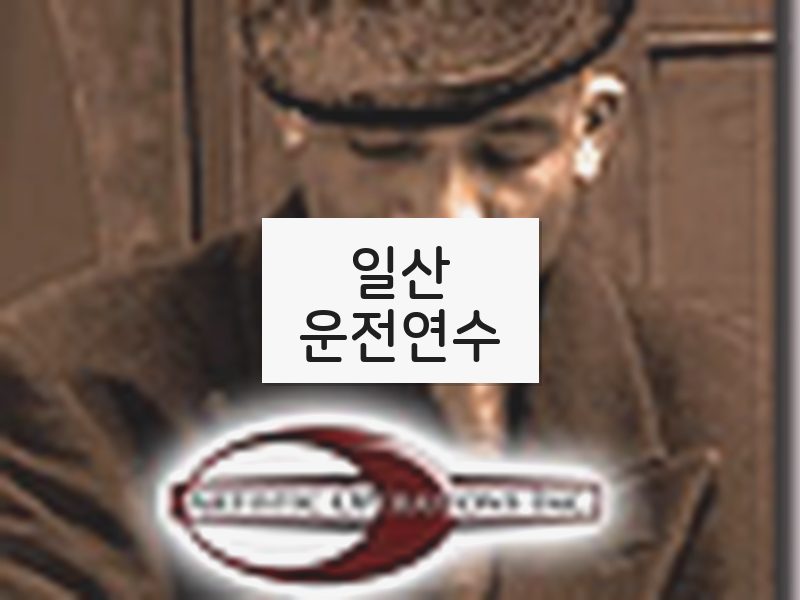 일산운전연수 후기