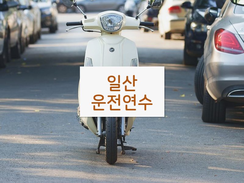 일산운전연수 후기