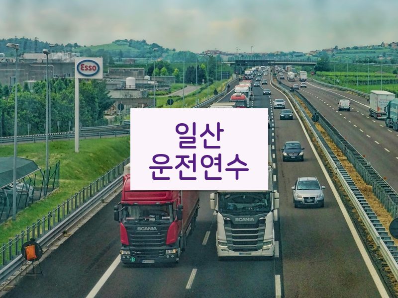일산운전연수 후기