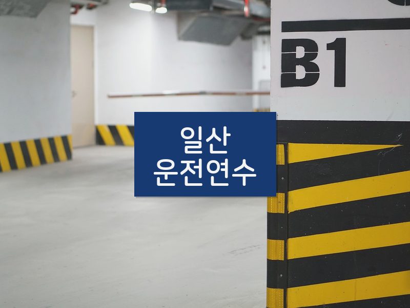 일산운전연수 후기