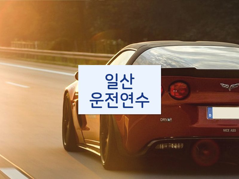 일산운전연수 후기