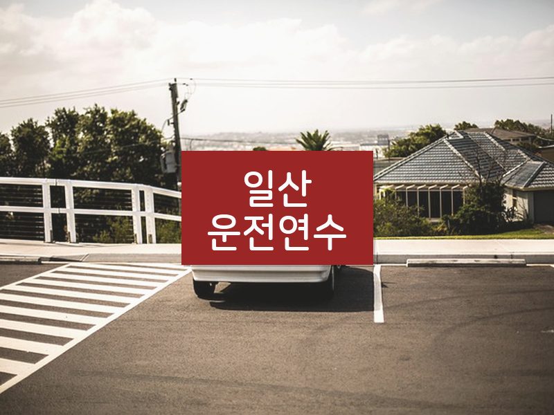 일산운전연수 후기