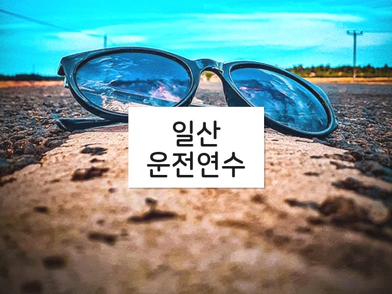 일산운전연수 후기