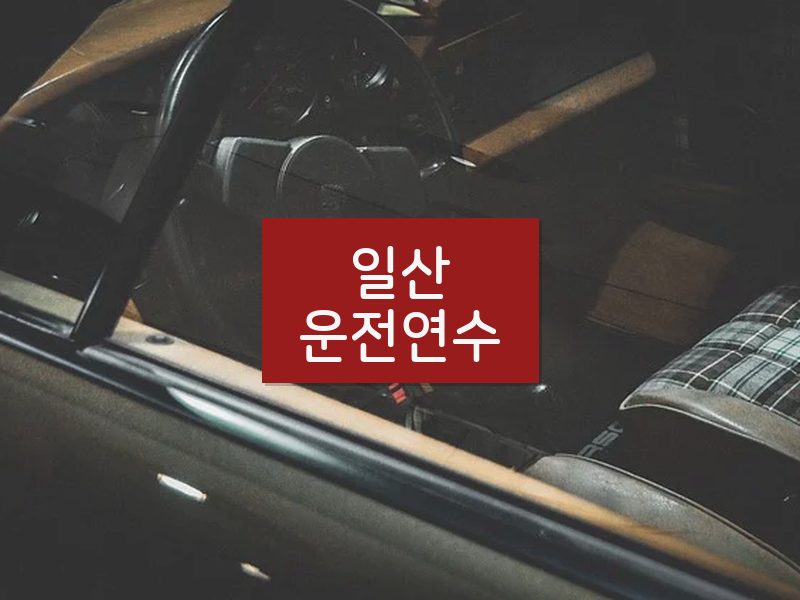 일산운전연수 후기
