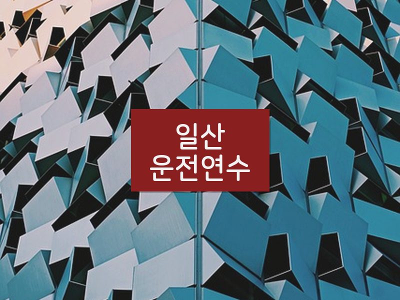 일산운전연수 후기