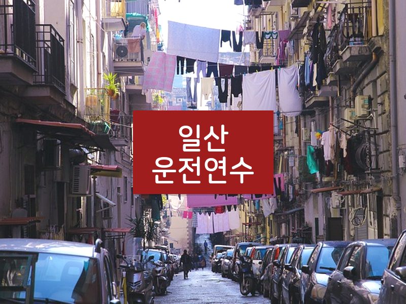 일산운전연수 후기