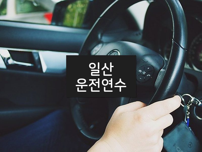 일산운전연수 후기