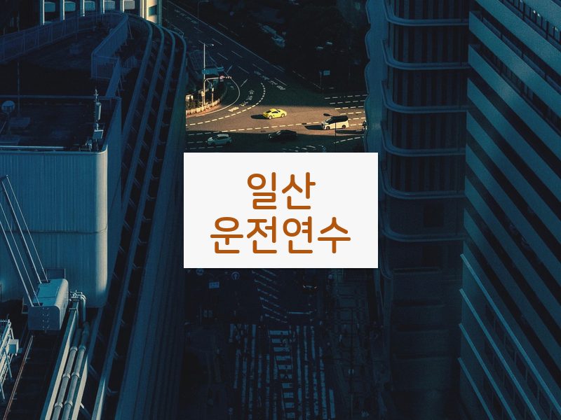 일산운전연수 후기