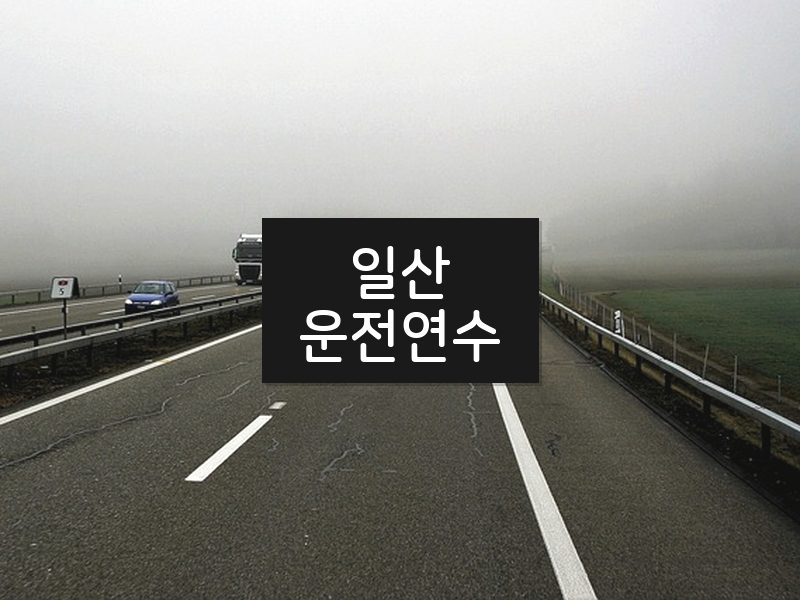 일산운전연수 후기