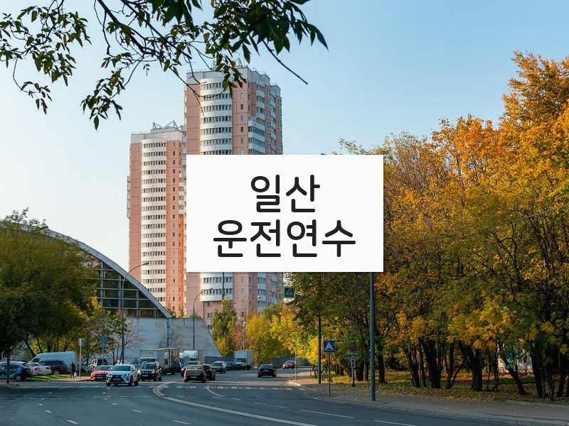 일산운전연수 후기