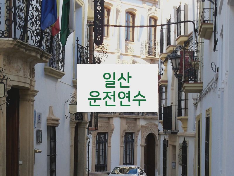 일산운전연수 후기