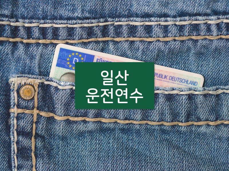 일산운전연수 후기