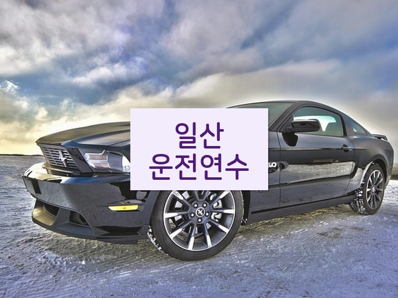 일산운전연수 후기
