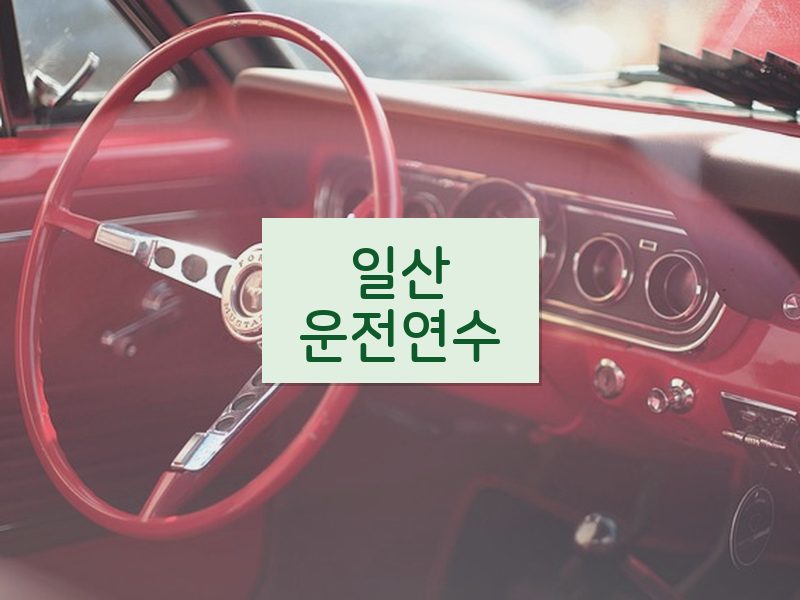 일산운전연수 후기