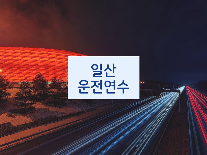 일산운전연수 후기