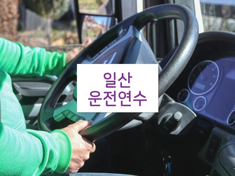 일산운전연수 후기