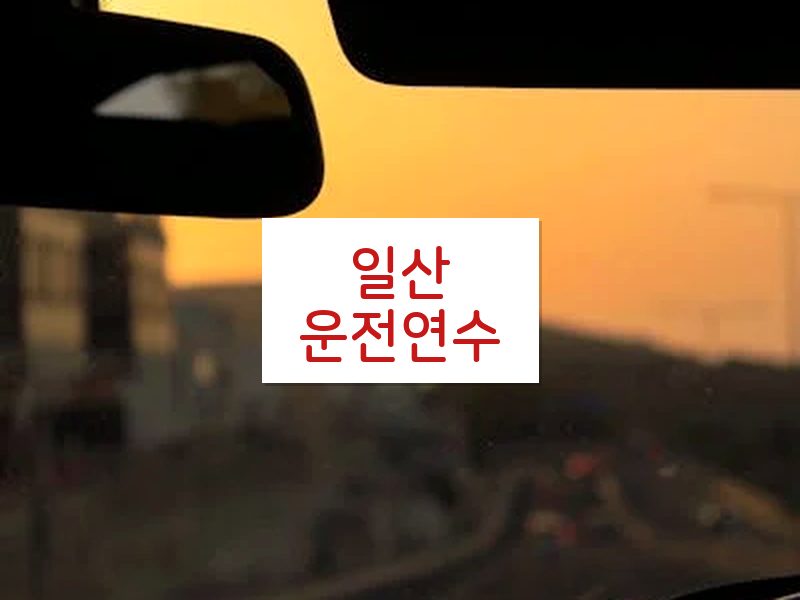 일산운전연수 후기