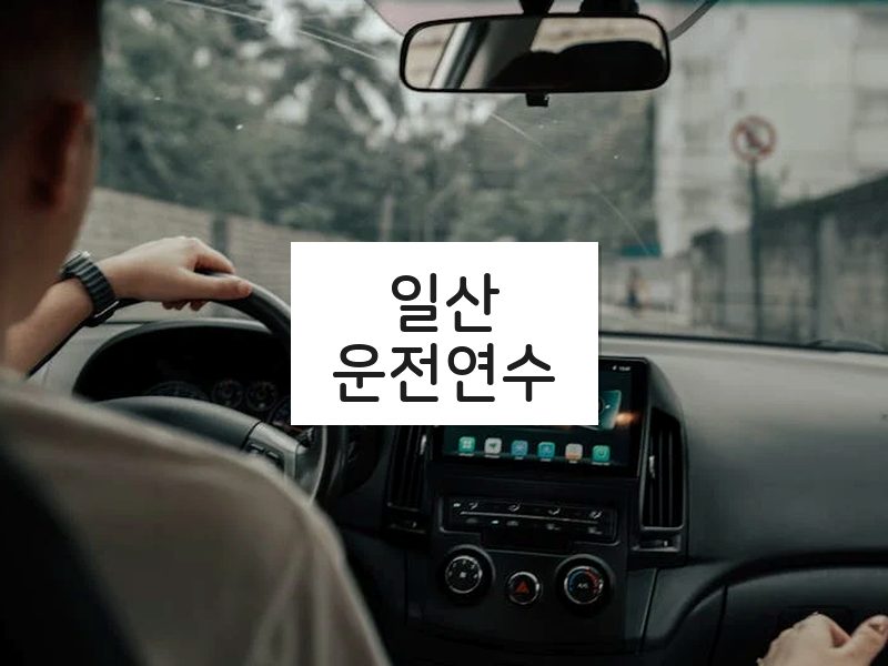 일산운전연수 후기