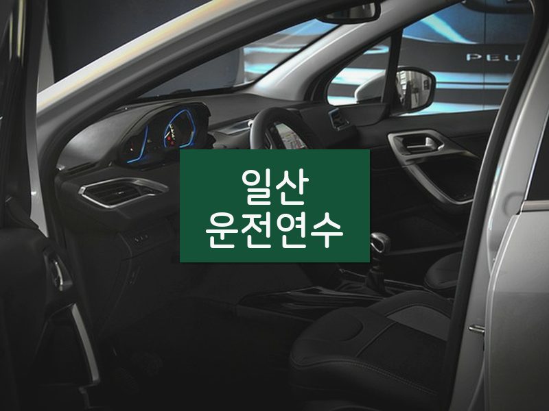 일산운전연수 후기
