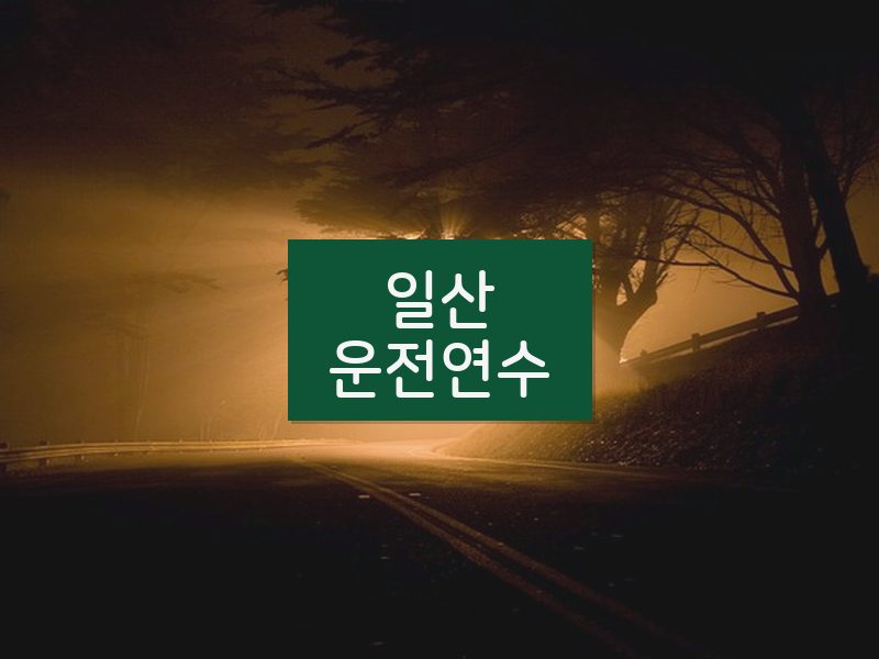 일산운전연수 후기