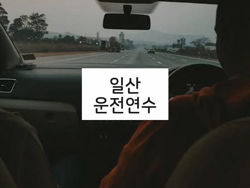 일산운전연수 후기