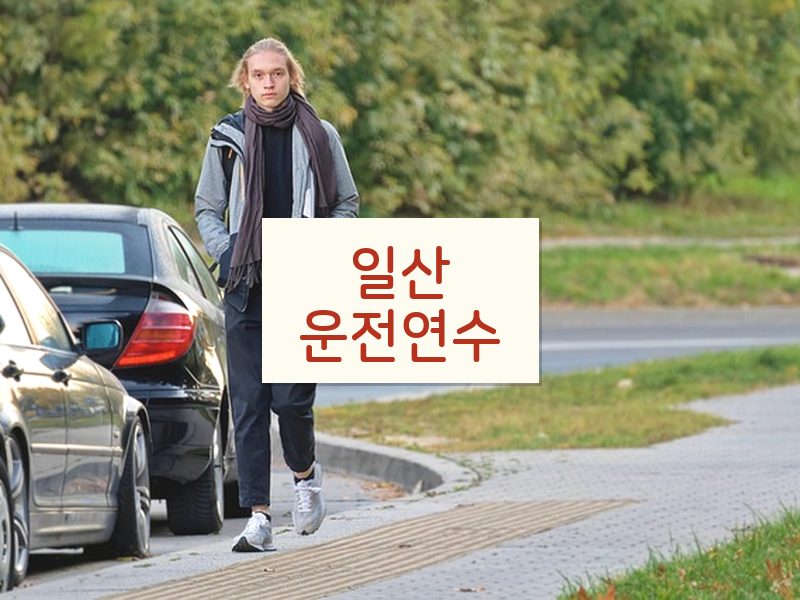 일산운전연수 후기