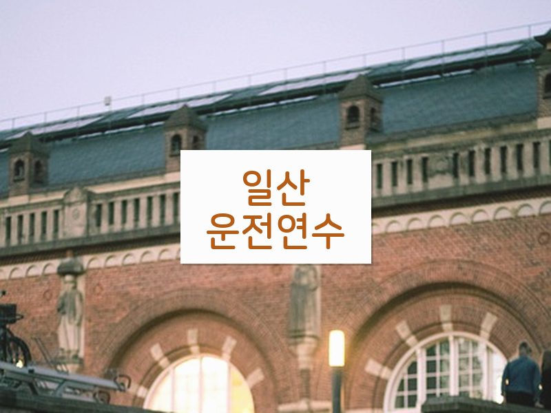 일산운전연수 후기