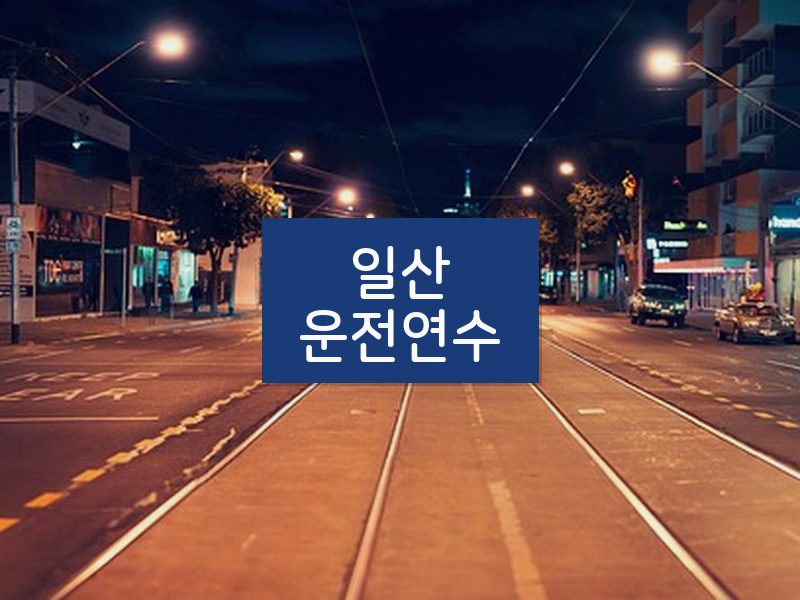 일산운전연수 후기